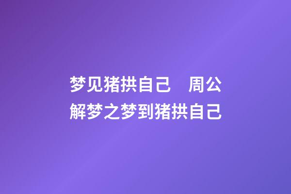 梦见猪拱自己　周公解梦之梦到猪拱自己